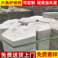 南京市护坡混凝土实心砖 生态植草六棱砖 六边形高铁护坡砖定制