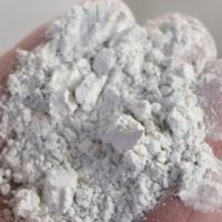 批发42.5白色硅酸盐水泥 大量供应硅酸盐白水泥 供应白水泥