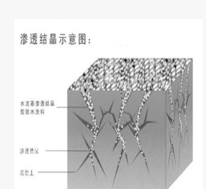 安徽泰润厂家直销 水泥基渗透结晶防水材料 渗透结晶型防水涂料